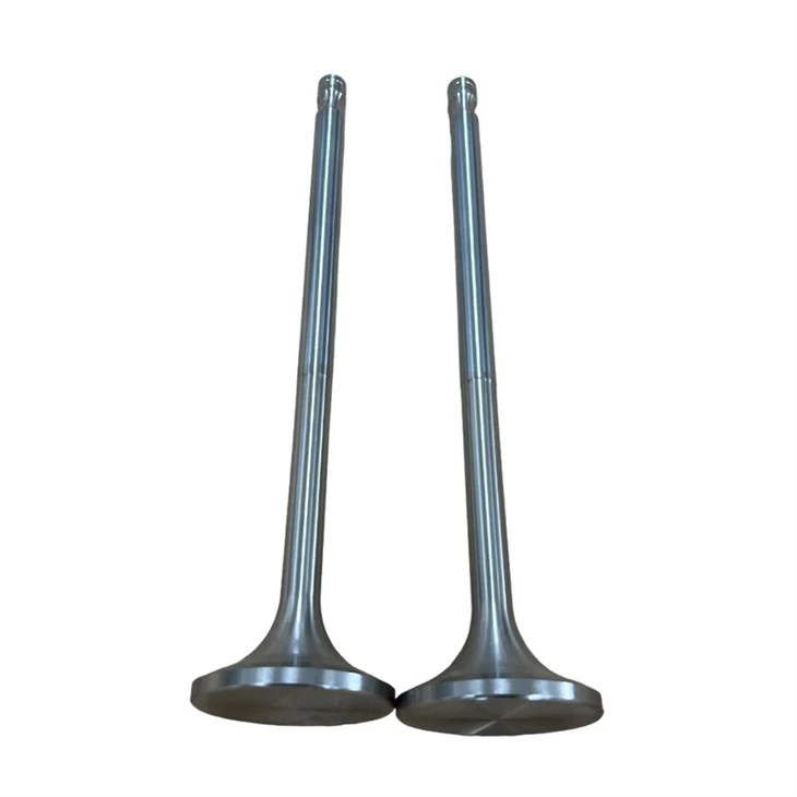 ANQING DAIHATSU EXHAUST VALVE